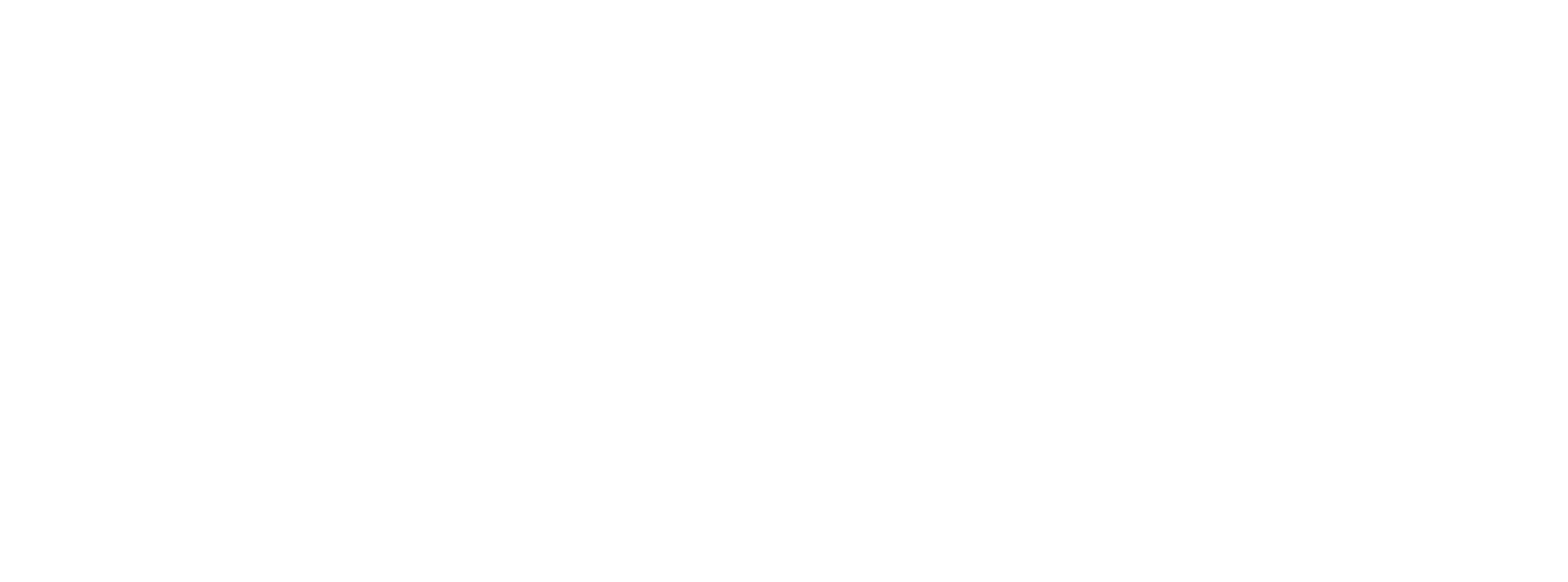 DN Mobility